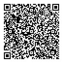 QR код "Ариэль"