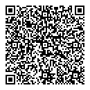 QR код "Торус"