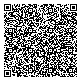 QR код "Южное Сияние"
