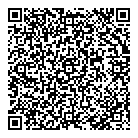QR код "DNS"