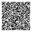 QR код "Денсл-инструмент"