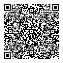 QR код "Литрball"