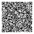 QR код "Воздушный мир"