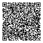 QR код "ДНС"