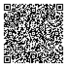 QR код "ДНС"