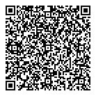 QR код "СТАНДАРТ-АУДИТ"