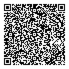 QR код "DNS"