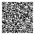 QR код "Звездный"