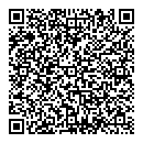 QR код "Matrix Стиль"
