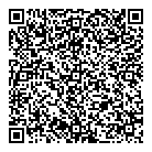 QR код "Авиатор"