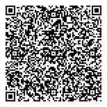 QR код "Профессионал"