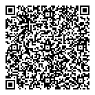 QR код "ДНС"