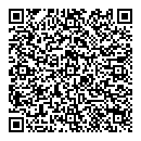 QR код "Созвездие"