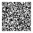 QR код "Chrome auto"