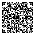 QR код "Мир"
