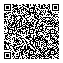 QR код "Спутник"