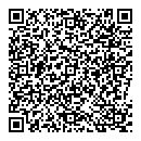 QR код "Домино"