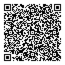 QR код "Созвездие"