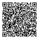 QR код "Мега-Сервис"