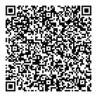 QR код "Vikerama"