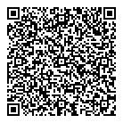 QR код "Carvizor"