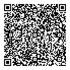 QR код "DVLinza.ru"