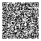 QR код "Platilkin"