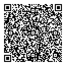 QR код "Frozen"
