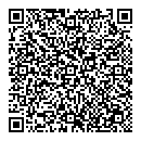 QR код "Копейка"