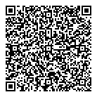 QR код "Звездочка"