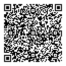 QR код "Domini"