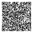 QR код "DS-low"
