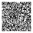 QR код "ДНС"