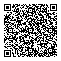 QR код "Мир"