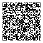 QR код "Platilkin"