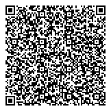 QR код "Профессионал"
