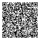 QR код "Platilkin"
