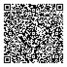 QR код "Platilkin"