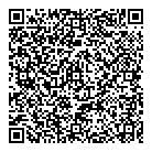QR код "Platilkin"