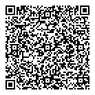 QR код "VISA-art"