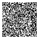 QR код "VKServis"