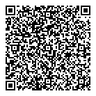 QR код "ShinaCar"