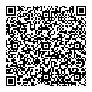 QR код "Глобус"