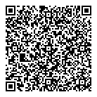 QR код "Syncar.kz"