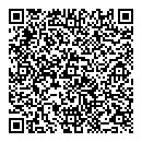 QR код "Point Color"