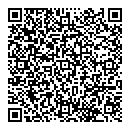 QR код "Galaxy"