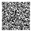 QR код "Нефертити"