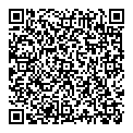 QR код "Salko"