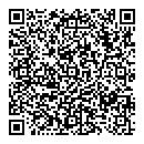 QR код "Explosion"