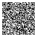 QR код "Angry birds"